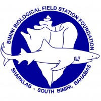 Bimini Sharklab